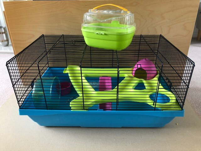 gumtree hamster cage